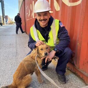 Coast Guard officers hear barking and scratching from shipping container