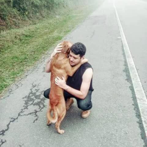 A man spotted an abandoned dog on the road, stopped the car and was received like this ❤️