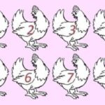 ARE YOU A GENIUS? NO ONE CAN FIGURE OUT WHICH CHICKEN IS DIFFERENT