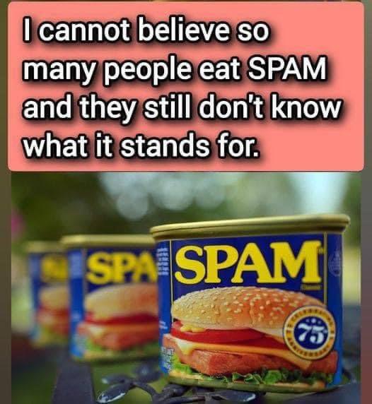 What is SPAM, and what does it consist of?