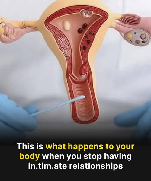 This Is What Happens to Your Body and Mind When You Don’t Have Sex