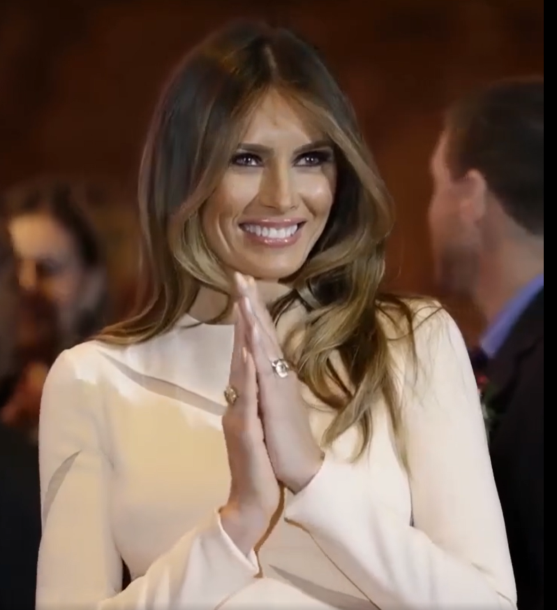 The First Lady’s new official PORTRAIT has been released, sparking heated discussion The PHOTO of Melania 