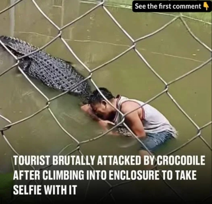 Tourist’s selfie stunt in crocodile enclosure takes deadly turn