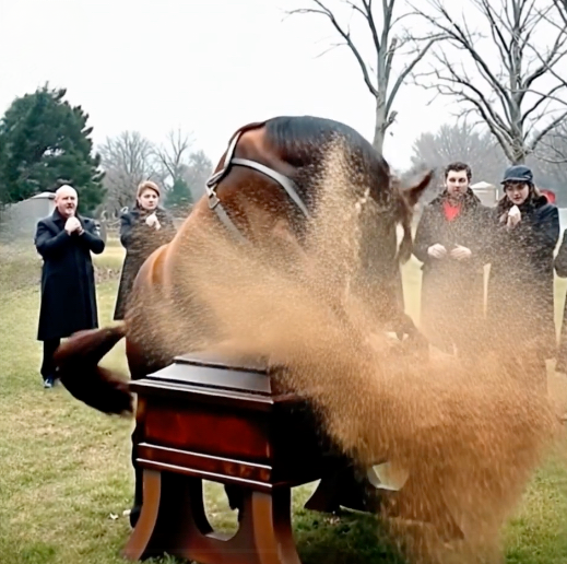 The Day the Coffin Opened: A Gentle Tale of Love, Mystery, and the Horse Who Wouldn’t Stay Silent